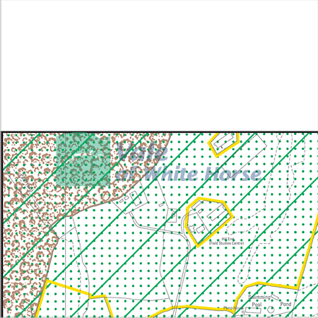 Map inset_04_110